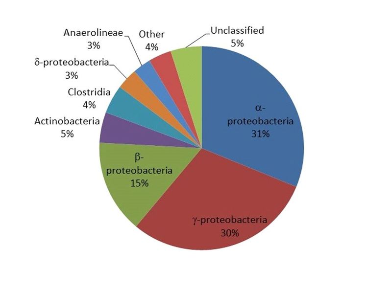 File:Fig1 Olges Metagenomics.JPG